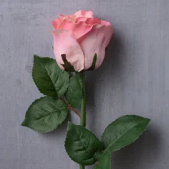 Best reviews of ❤️ 12 Pack: Light Pink Faux Rose by Ashland® 😉 -Outlet Yuletide Joy Store MP501467 22