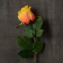 Wholesale 💯 12 Pack: Peach Faux Rose by Ashland® 👏 -Outlet Yuletide Joy Store MP501471 25