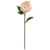 Cheap ⭐ 12 Pack: Peach King Peony Stem by Ashland® 🤩 -Outlet Yuletide Joy Store MP501484 1