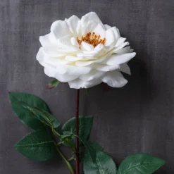 Cheapest 🔔 12 Pack: White Orlane Rose Stem by Ashland® ✔️ -Outlet Yuletide Joy Store MP501485 22