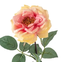 Flash Sale 🎉 12 Pack: Coral Orlane Rose Stem by Ashland® ❤️ -Outlet Yuletide Joy Store MP501486 20