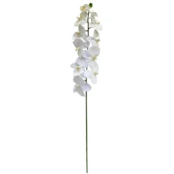 Budget ❤️ 8 Pack: White Orchid Stem by Ashland® ⌛