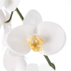 Budget ❤️ 8 Pack: White Orchid Stem by Ashland® ⌛ -Outlet Yuletide Joy Store MP501488 20