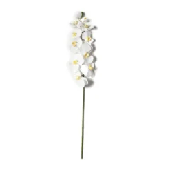 Budget ❤️ 8 Pack: White Orchid Stem by Ashland® ⌛ -Outlet Yuletide Joy Store MP501488 21