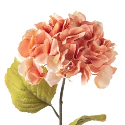 Outlet ⌛ 12 Pack: Coral Two-Toned Hydrangea Steam by Ashland® ❤️ -Outlet Yuletide Joy Store MP501508 20