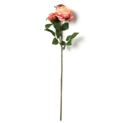 Best Sale ❤️ 12 Pack: Pink Coral English Rose Stem by Ashland® ⭐ 7 Best Sale ❤️ 12 Pack: Pink Coral English Rose Stem by Ashland® ⭐ -Outlet Yuletide Joy Store MP501509 21