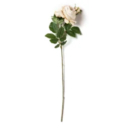 Outlet ✔️ 12 Pack: Toast English Rose Stem by Ashland® ❤️ -Outlet Yuletide Joy Store MP501510 21