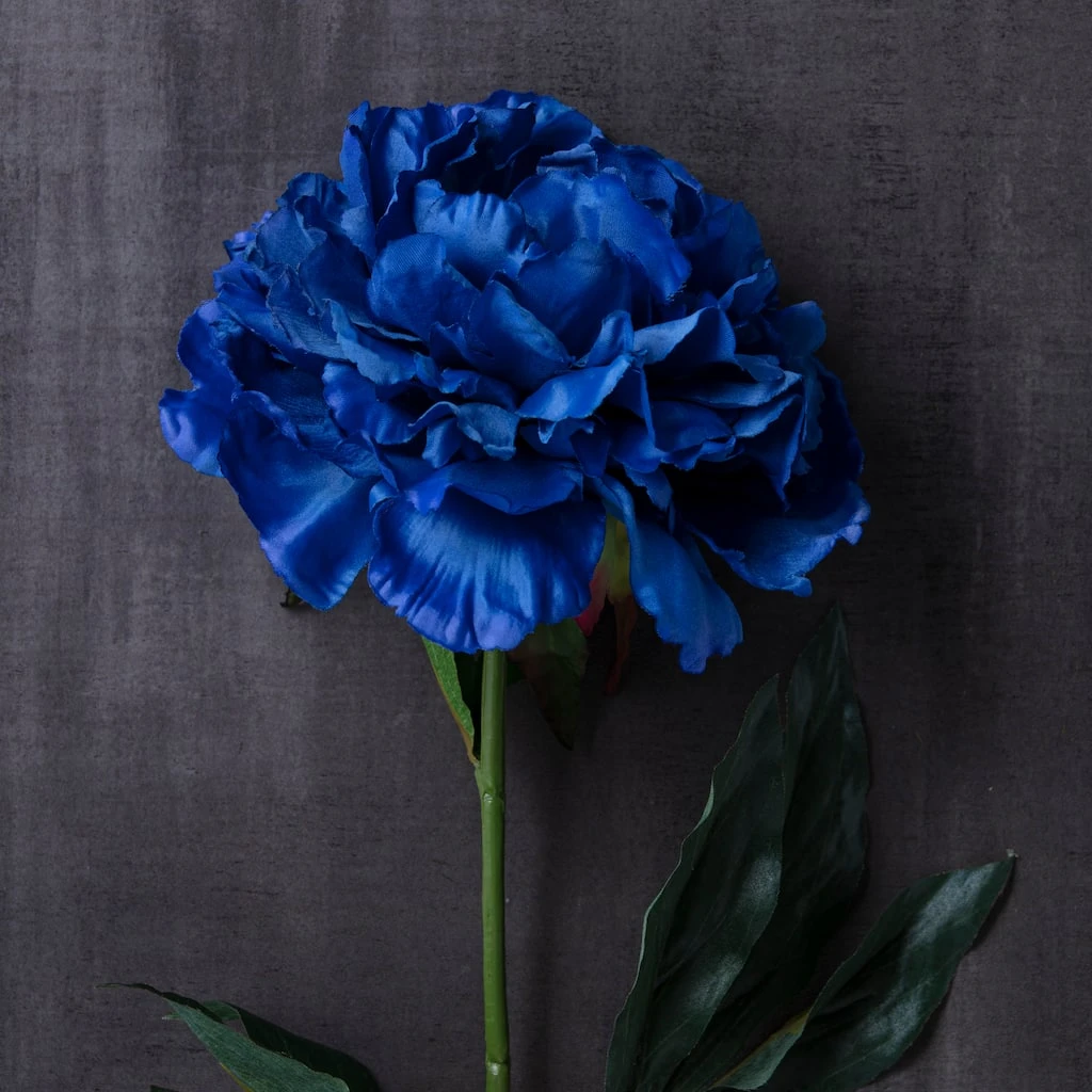 Coupon π 12 Pack: Navy Peony Stem by Ashland® π 5 Coupon π 12 Pack: Navy Peony Stem by Ashland® π - Image 3