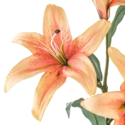 Best reviews of 🔔 12 Pack: Flame Casablanca Lily Stem by Ashland® 🥰 -Outlet Yuletide Joy Store MP501957 20