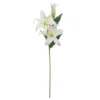 Best Pirce 👍 12 Pack: White Casablanca Lily Stem by Ashland® 👏 -Outlet Yuletide Joy Store MP501958 1