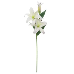 Best Pirce 👍 12 Pack: White Casablanca Lily Stem by Ashland® 👏
