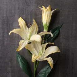 Best Pirce 👍 12 Pack: White Casablanca Lily Stem by Ashland® 👏 -Outlet Yuletide Joy Store MP501958 22