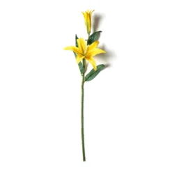 Cheap 🧨 12 Pack: Yellow Casablanca Lily Stem by Ashland® ⭐ -Outlet Yuletide Joy Store MP501959 21