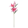 Budget 🔔 12 Pack: Hot Pink Casablanca Lily Stem by Ashland® 😍 -Outlet Yuletide Joy Store MP501960 1