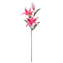 Budget 🔔 12 Pack: Hot Pink Casablanca Lily Stem by Ashland® 😍