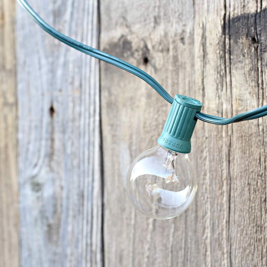 Best deal 👏 8 Pack: 16ct. Round G40 Bulb String Lights by Ashland™ ✨ 5 Best deal 👏 8 Pack: 16ct. Round G40 Bulb String Lights by Ashland™ ✨ - Image 3