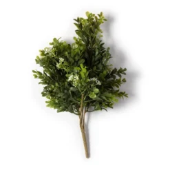 Buy 😍 9 Pack: Boxwood & Berry Bush by Ashland® ⭐ -Outlet Yuletide Joy Store MP546917 21