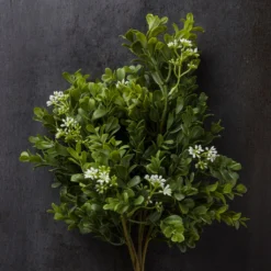 Buy 😍 9 Pack: Boxwood & Berry Bush by Ashland® ⭐ -Outlet Yuletide Joy Store MP546917 22