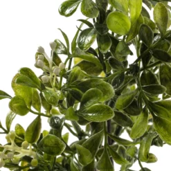 Coupon ๐ 24 Pack: Green Boxwood Pick by Ashland® ๐ 9 Coupon ๐ 24 Pack: Green Boxwood Pick by Ashland® ๐ -Outlet Yuletide Joy Store MP546920 20