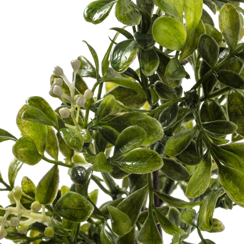 Coupon ๐ 24 Pack: Green Boxwood Pick by Ashland® ๐ 5 Coupon ๐ 24 Pack: Green Boxwood Pick by Ashland® ๐ - Image 3