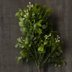 Coupon ๐ 24 Pack: Green Boxwood Pick by Ashland® ๐ 11 Coupon ๐ 24 Pack: Green Boxwood Pick by Ashland® ๐ -Outlet Yuletide Joy Store MP546920 25