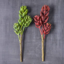 Flash Sale 🎁 24 Pack: Assorted 3 Head Succulent Pick by Ashland® 💯 -Outlet Yuletide Joy Store MP546921 22