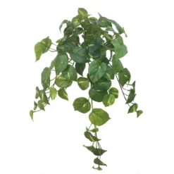 Deals 🔥 12 Pack: Hanging Philo Bush by Ashland® ⭐
