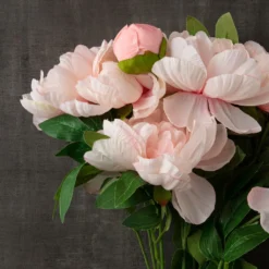 Deals 💯 12 Pack: Coral Peony Bush by Ashland® 👏 -Outlet Yuletide Joy Store MP547347 25