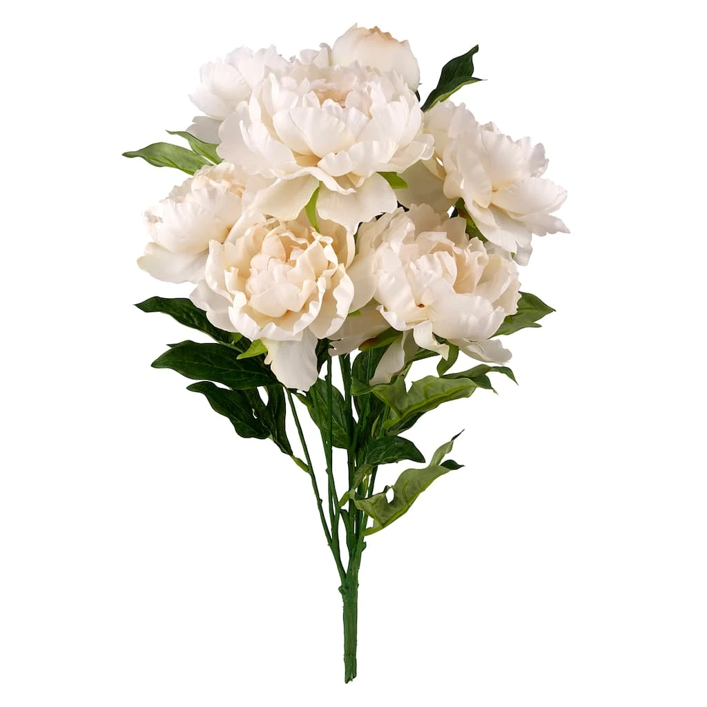 Cheapest ✨ 12 Pack: Cream Peony Bush by Ashland® 😀 3 Cheapest ✨ 12 Pack: Cream Peony Bush by Ashland® 😀