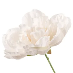 Cheapest ✨ 12 Pack: Cream Peony Bush by Ashland® 😀 9 Cheapest ✨ 12 Pack: Cream Peony Bush by Ashland® 😀 -Outlet Yuletide Joy Store MP547348 20