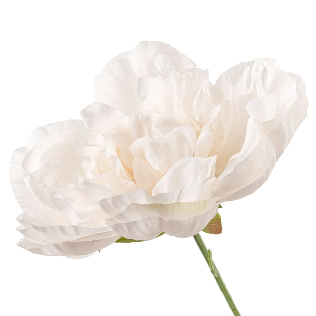 Cheapest ✨ 12 Pack: Cream Peony Bush by Ashland® 😀 5 Cheapest ✨ 12 Pack: Cream Peony Bush by Ashland® 😀 - Image 3