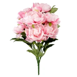 Best deal ⭐ 12 Pack: Pink Peony Bush by Ashland® ❤️