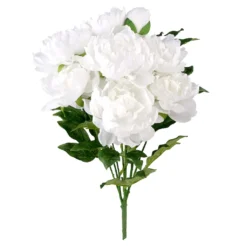 New 🛒 12 Pack: White Peony Bush by Ashland® 👍