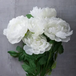 New 🛒 12 Pack: White Peony Bush by Ashland® 👍 -Outlet Yuletide Joy Store MP547350 22