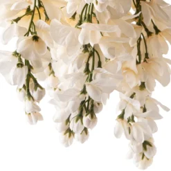 Wholesale 🧨 12 Pack: Cream Wisteria Bush by Ashland® 🔔 -Outlet Yuletide Joy Store MP547398 20
