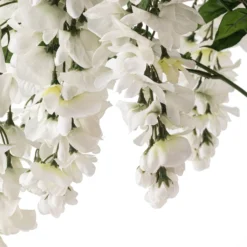 Hot Sale ❤️ 12 Pack: White Wisteria Bush by Ashland® 🎁 -Outlet Yuletide Joy Store MP547400 20