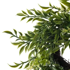 Discount ⌛ 12 Pack: 6" Dark Green Ficus Wreath by Ashland® ❤️ -Outlet Yuletide Joy Store MP547484 20