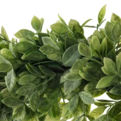 Hot Sale 👏 12 Pack: 20" Foliage Wreath by Ashland® 🎁 -Outlet Yuletide Joy Store MP547486 20