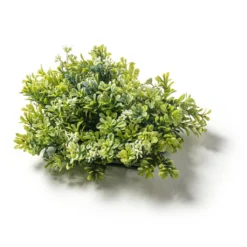 Hot Sale ⌛ 8 Pack: Green Boxwood Bush by Ashland® 👏 -Outlet Yuletide Joy Store MP547534 21