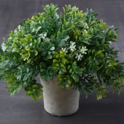 Budget ❤️ 6 Pack: Premade Boxwood Bush by Ashland® ⌛ -Outlet Yuletide Joy Store MP547538 22