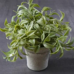 Flash Sale ✨ 6 Pack: Premade Soft Plastic Leaves Bush by Ashland® ✨ -Outlet Yuletide Joy Store MP547545 22