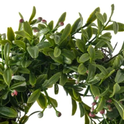 Best deal 🎁 6 Pack: 9" Pink Baby's Breath Wreath by Ashland® 😀 -Outlet Yuletide Joy Store MP547546 20