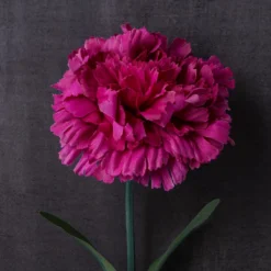 Best Sale 👏 24 Pack: Hot Pink Carnation Stem by Ashland® ⭐ -Outlet Yuletide Joy Store MP626417 22