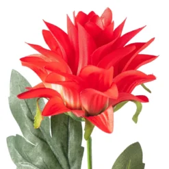 Hot Sale ✔️ 12 Pack: Red Hops Stem by Ashland® 😉 -Outlet Yuletide Joy Store MP626421 20