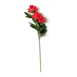 Hot Sale ✔️ 12 Pack: Red Hops Stem by Ashland® 😉 -Outlet Yuletide Joy Store MP626421 21