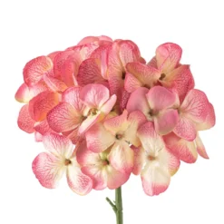 Hot Sale 🎁 12 Pack: Mauve Hydrangea Stem by Ashland® 🎉 -Outlet Yuletide Joy Store MP626445 20