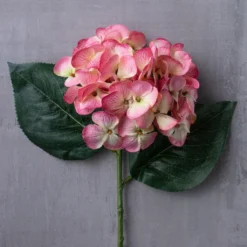 Hot Sale 🎁 12 Pack: Mauve Hydrangea Stem by Ashland® 🎉 -Outlet Yuletide Joy Store MP626445 22