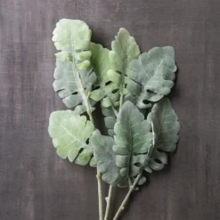 Best reviews of ✔️ 12 Pack: Green Dusty Miller Spray by Ashland® ⭐ 9 Best reviews of ✔️ 12 Pack: Green Dusty Miller Spray by Ashland® ⭐ -Outlet Yuletide Joy Store MP626483 22