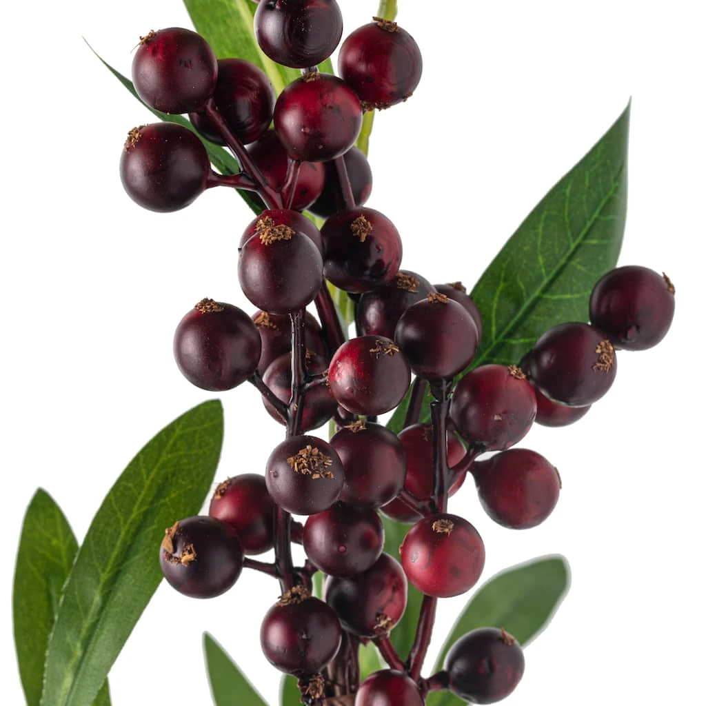 New ๐ 12 Pack: Burgundy Berry Stem by Ashland® โญ 7 New ๐ 12 Pack: Burgundy Berry Stem by Ashland® โญ - Image 5