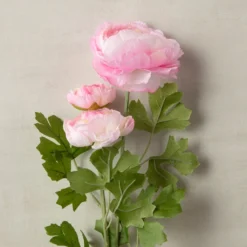 Coupon 🛒 12 Pack: Pink Ranunculus Spray by Ashland® 🧨 -Outlet Yuletide Joy Store MP626529 25